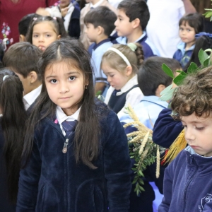 Celebración de Ramos
